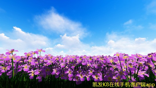 停車道閘的性能評(píng)測(cè)標(biāo)準(zhǔn)