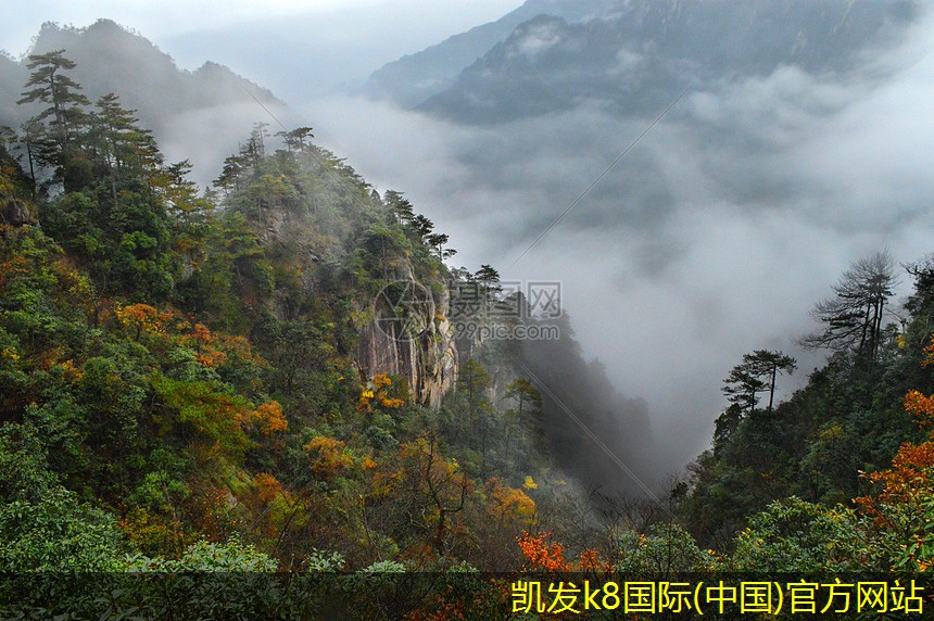 停車道閘的遠程控制功能