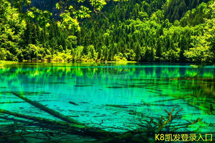 可視對(duì)講的未來(lái)趨勢(shì)展望