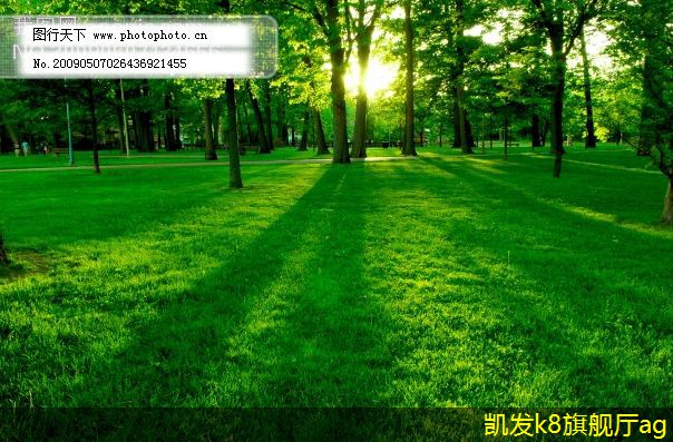 可視對講的遠程控制功能解析