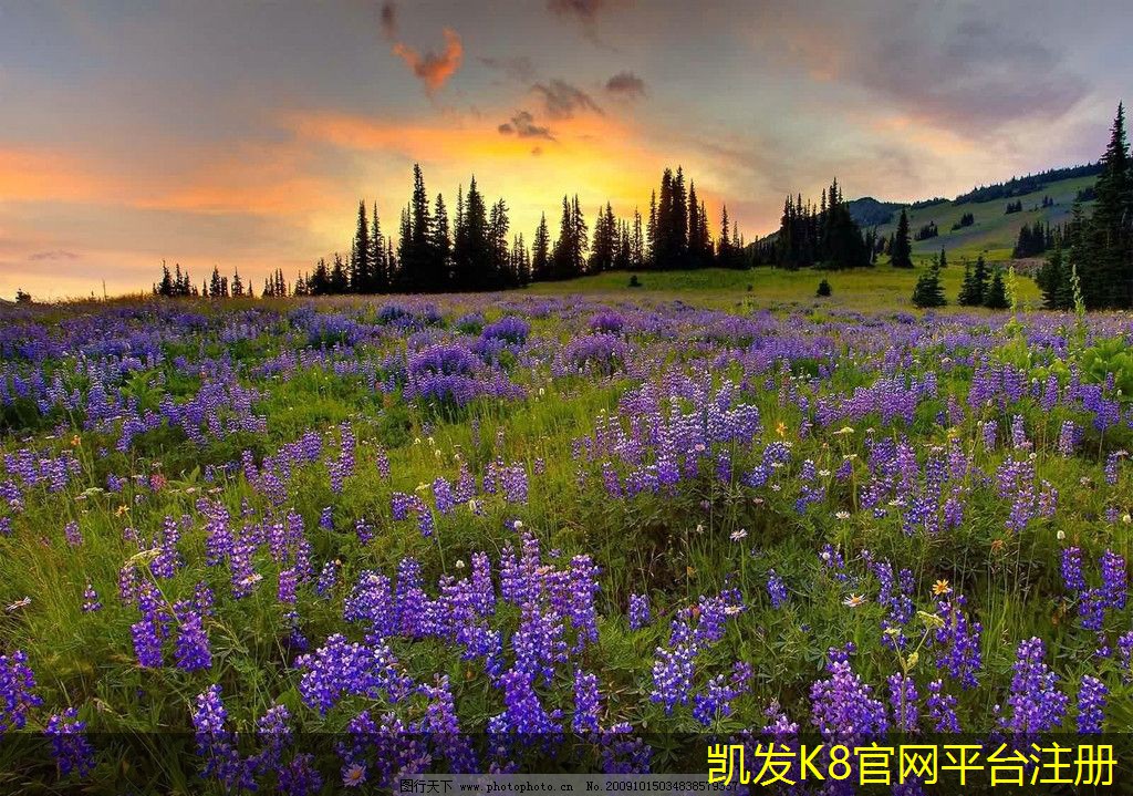可視對(duì)講系統(tǒng)的優(yōu)勢(shì)解析