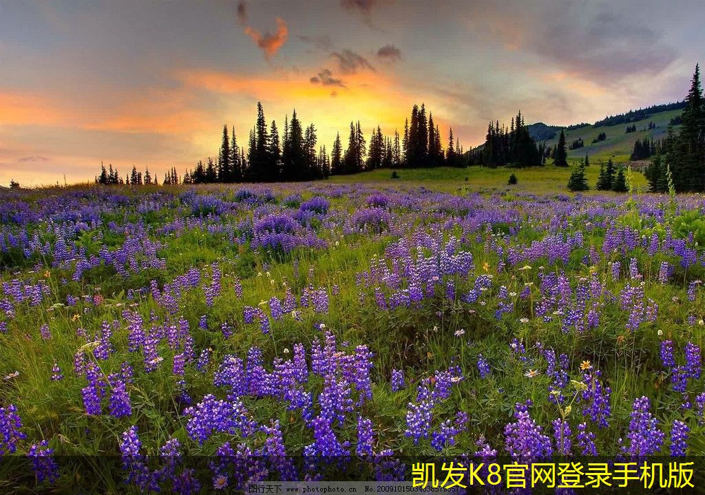 可視對(duì)講系統(tǒng)的安裝與維護(hù)指南