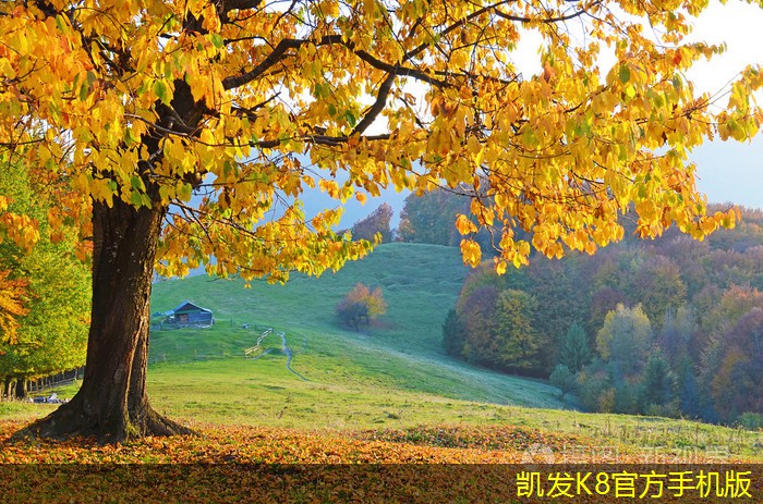 網(wǎng)絡(luò)布線工具推薦與使用指南