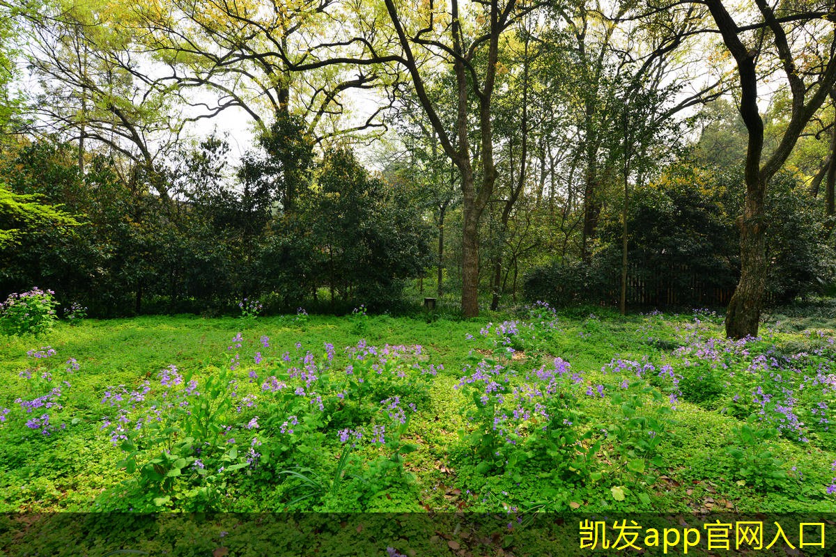 網(wǎng)絡(luò)布線的安全隱患及應(yīng)對(duì)措施
