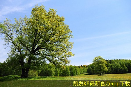 網(wǎng)絡(luò)布線的安全隱患及應(yīng)對(duì)措施