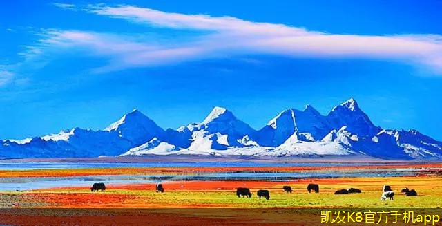 網(wǎng)絡(luò)布線的未來發(fā)展趨勢(shì)