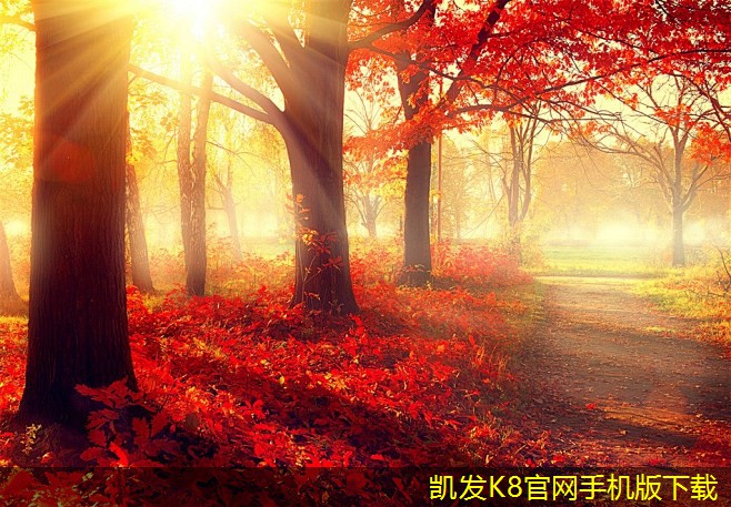 網(wǎng)絡(luò)布線的環(huán)保材料選擇