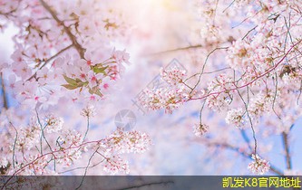 網(wǎng)絡布線設備的選購指南