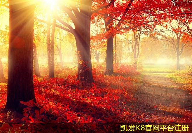 背景音樂(lè)在婚禮中的完美搭配