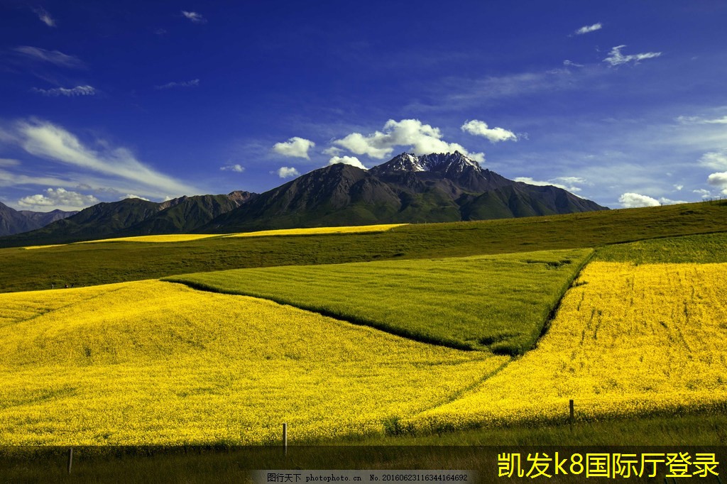 背景音樂(lè)在心理活動(dòng)中的作用
