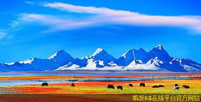 背景音樂在新媒體藝術中的應用