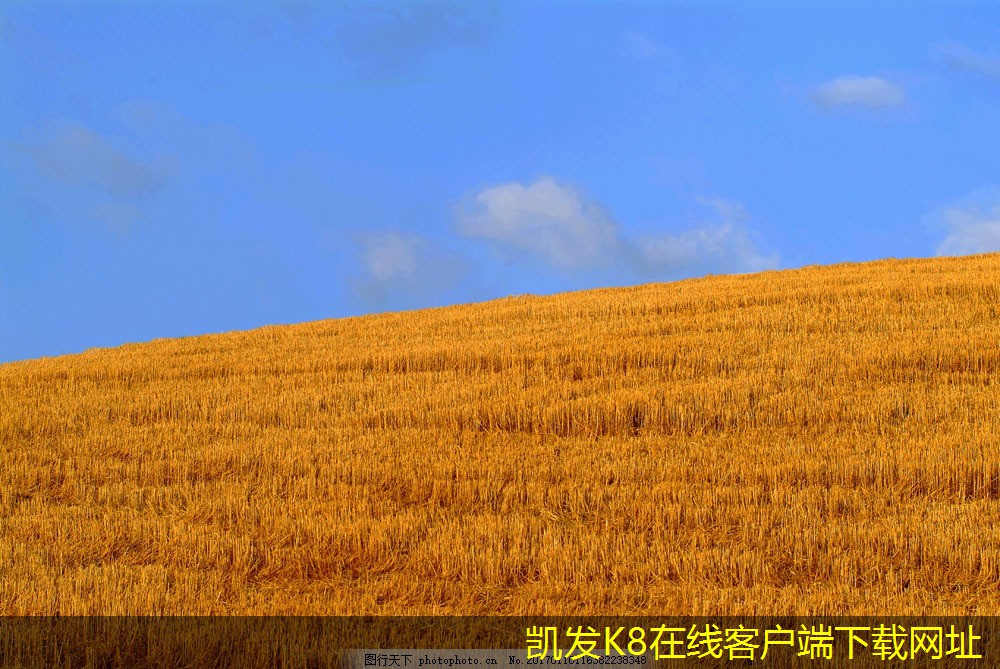 背景音樂對工作場所文化的影響