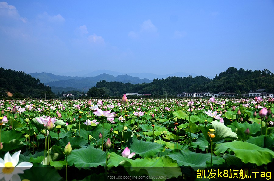 背景音樂(lè)對(duì)老年人生活質(zhì)量的影響