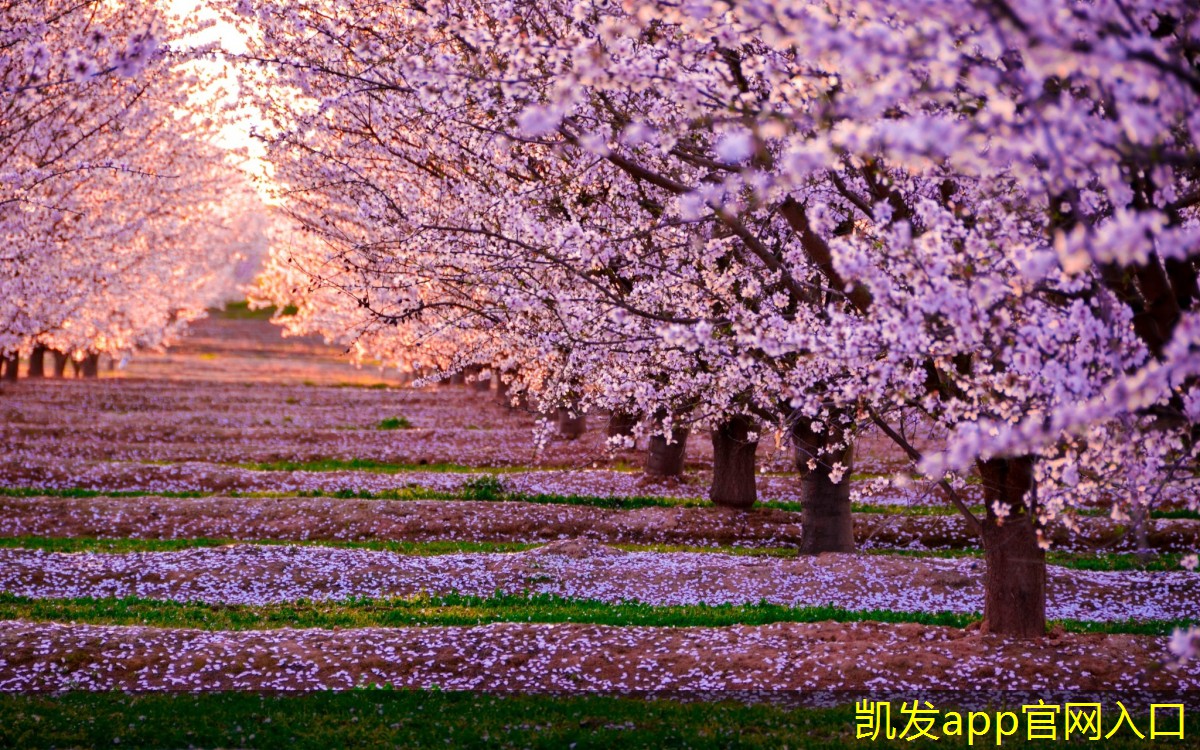 背景音樂(lè)對(duì)閱讀體驗(yàn)的影響