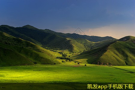 自動泊車與停車道閘的協(xié)同作用