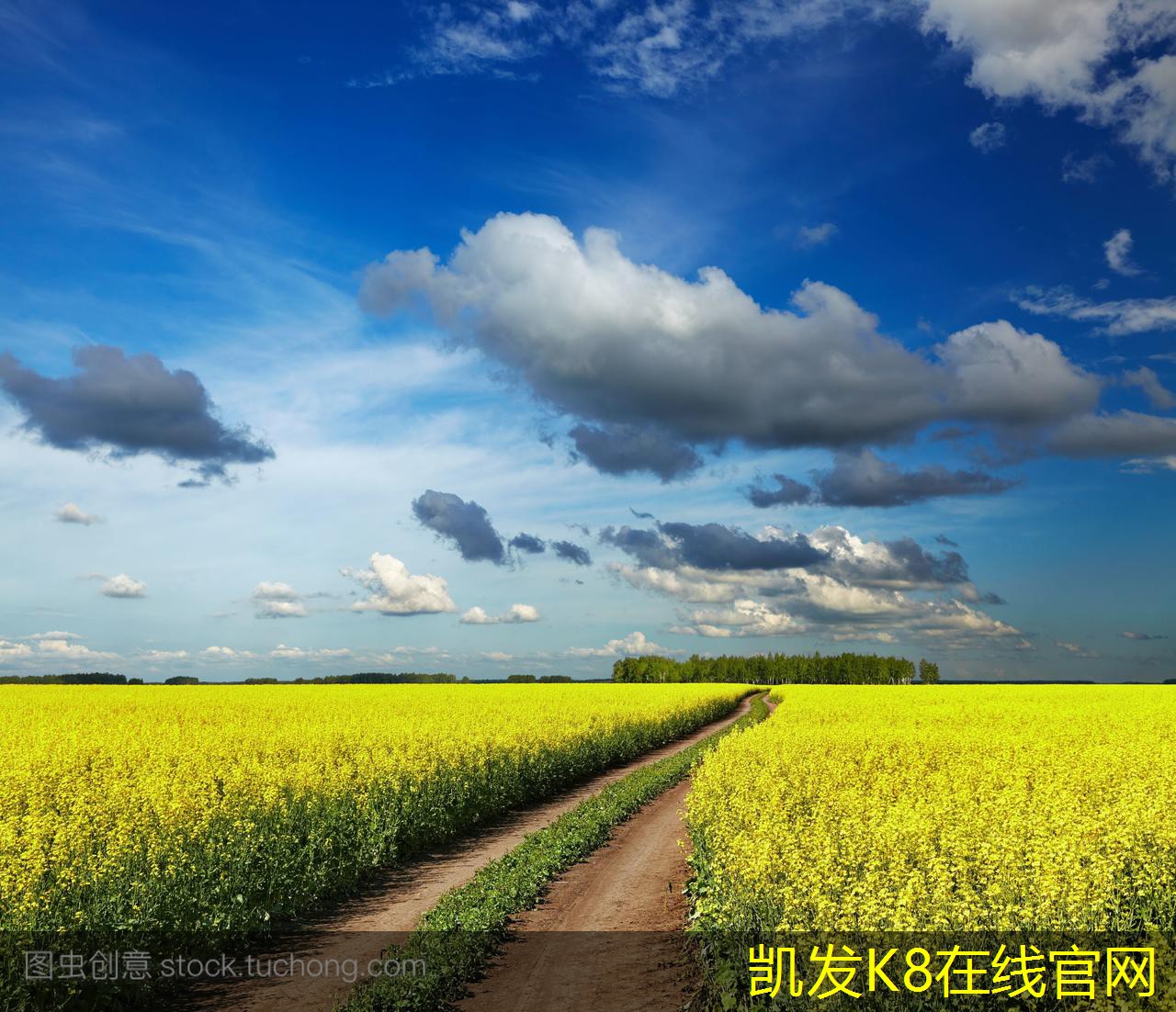 營造溫馨家庭氛圍的背景音樂