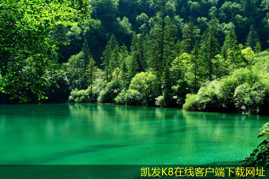 視頻會(huì)議與面對(duì)面會(huì)議的優(yōu)劣分析