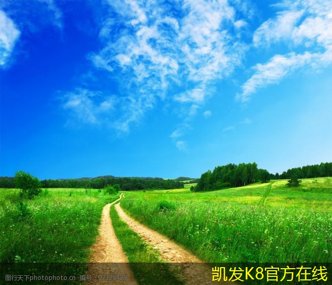 視頻會議中有效溝通的秘訣