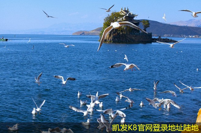 視頻會議后續(xù)工作的關(guān)鍵步驟