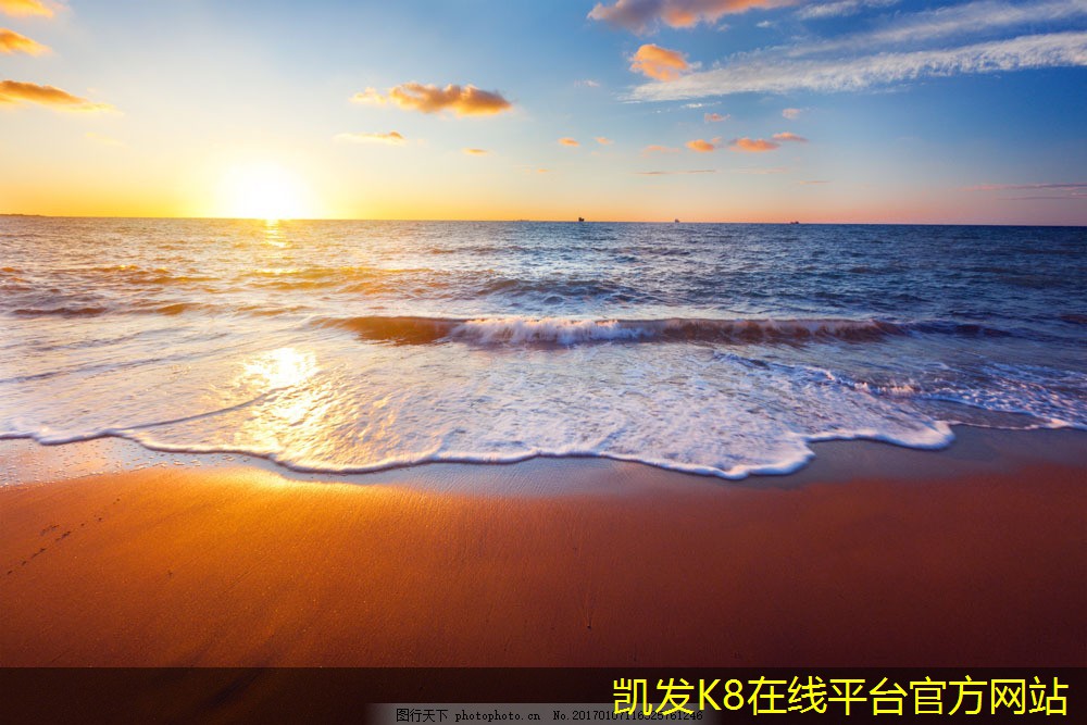 視頻會議在危機(jī)管理中的作用