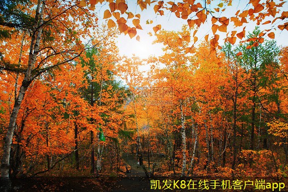 視頻會議如何提升銷售團隊的業(yè)績