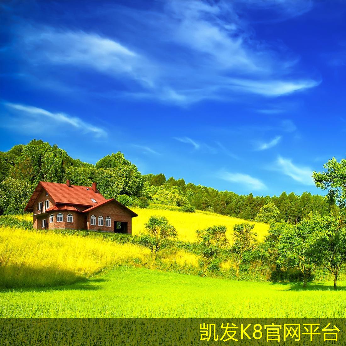 視頻會議對企業(yè)文化的影響