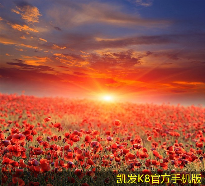 視頻會議技術(shù)的最新發(fā)展