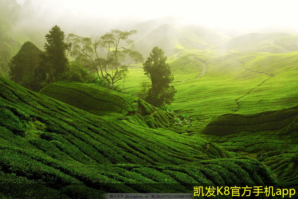 視頻會議的常見禮儀與規(guī)范