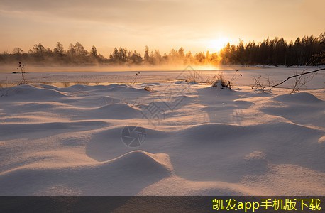 跨國企業(yè)的門禁考勤挑戰(zhàn)與應(yīng)對(duì)