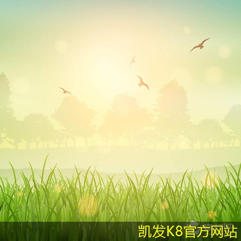 遠(yuǎn)程工作的必備視頻會議技能