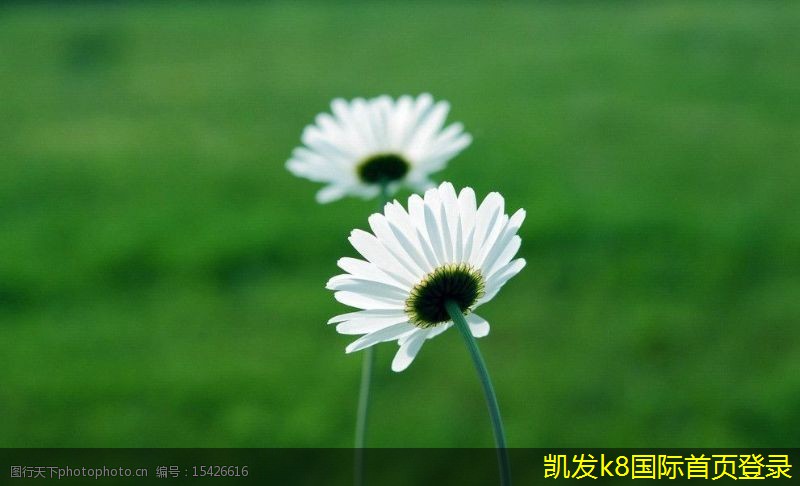 適合夜晚放松的背景音樂推薦