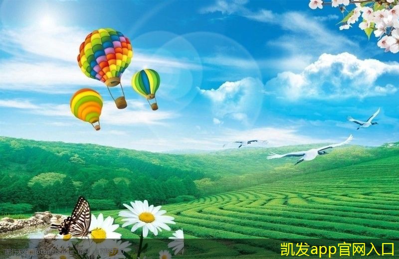 適合視頻會(huì)議的設(shè)備推薦