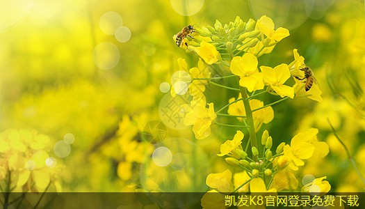選擇停車道閘時(shí)需考慮的因素