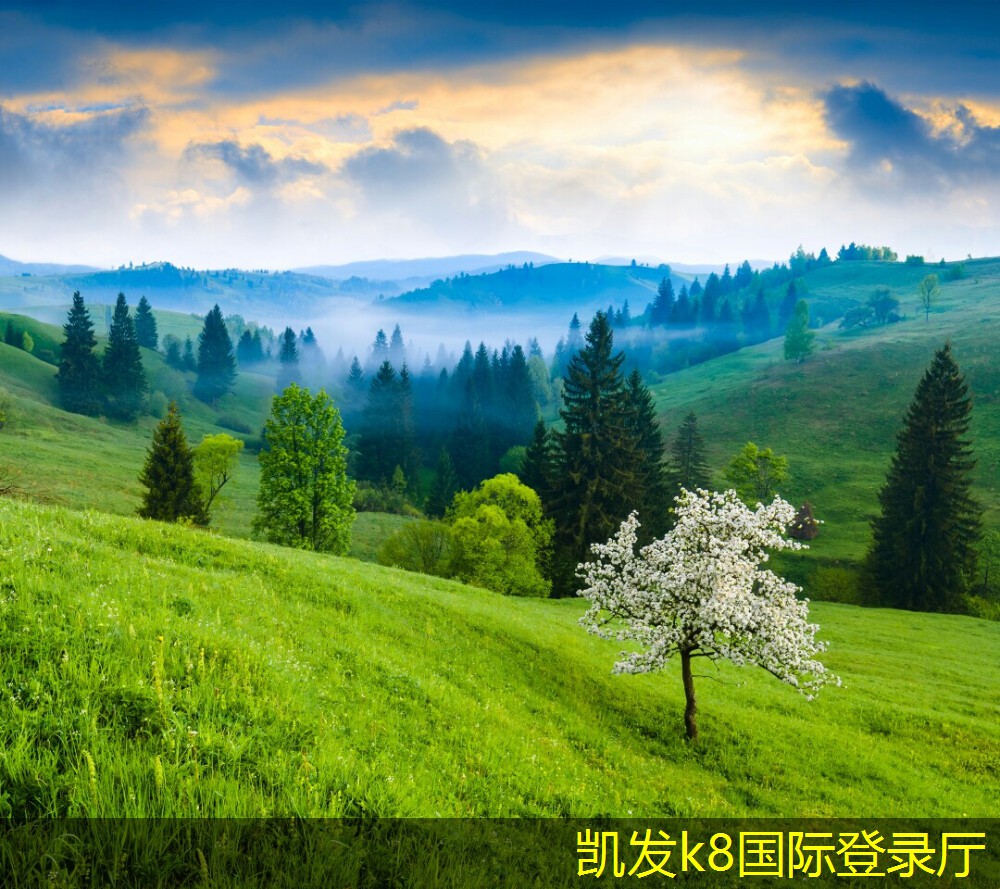 選擇合適的網(wǎng)絡(luò)布線方法