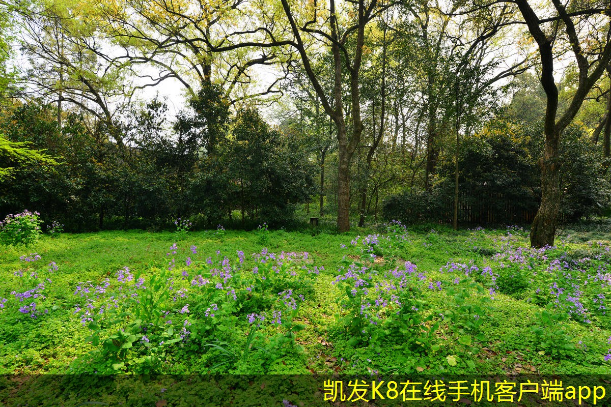 通過門禁考勤優(yōu)化員工流動管理