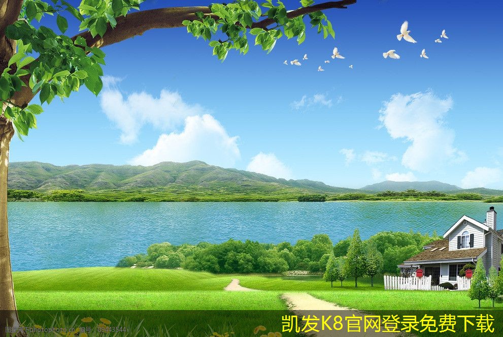 避免視頻會議疲勞的實用建議