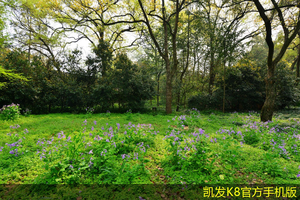 門禁考勤系統(tǒng)實(shí)施后的效果評(píng)估