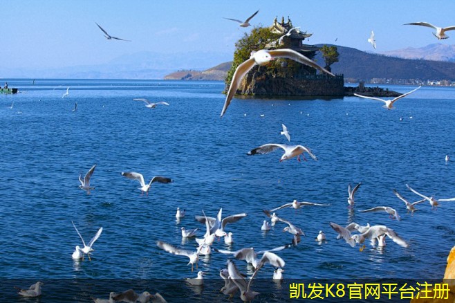 集團(tuán)電話與傳統(tǒng)電話的區(qū)別
